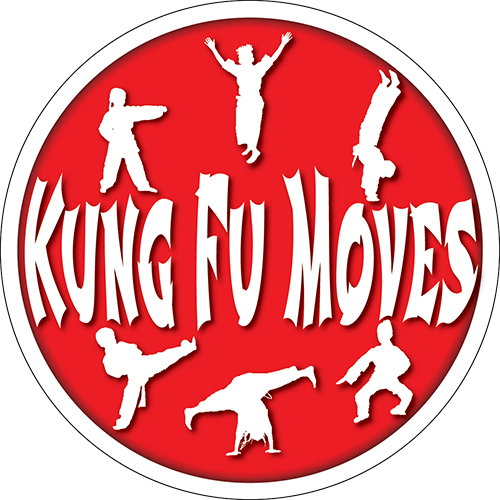 Kung Fu Moves